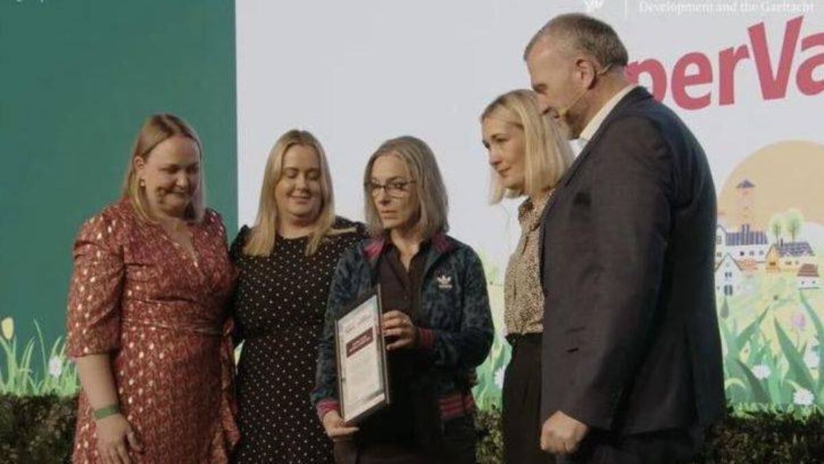 Three golds for Laois in national Tidy Towns contest 