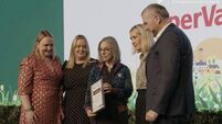 Three golds for Laois in national Tidy Towns contest  Three golds for Laois in national Tidy Towns contest