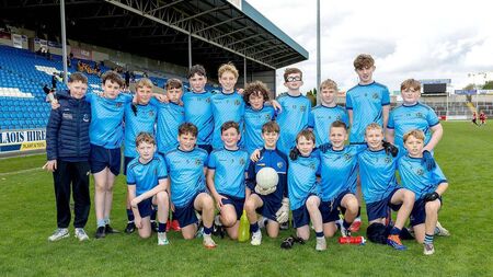 Brilliant Ballyroan breeze past Emo to claim Roinn 2 title