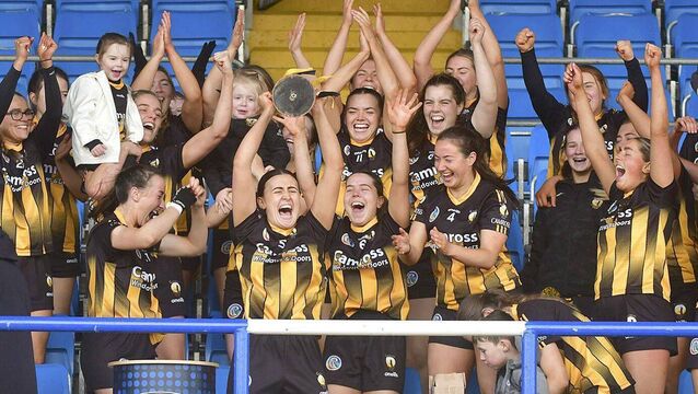 Camross are back after lean spell to take Intermediate title 