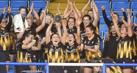 Camross are back after lean spell to take Intermediate title 