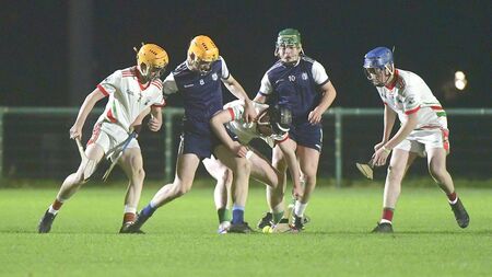 Rathdowney/Errill complete championship/league double at the expense of Clan na nGael