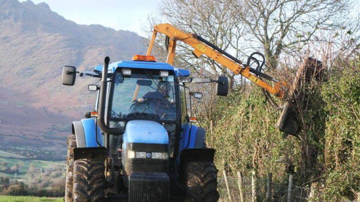 Kildare landowner fined €15k for hedgerow destruction out of season