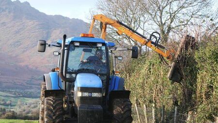 Kildare landowner fined €15k for hedgerow destruction out of season