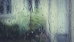 Stormont minister under fire over visit to Israel Stormont minister under fire over visit to Israel