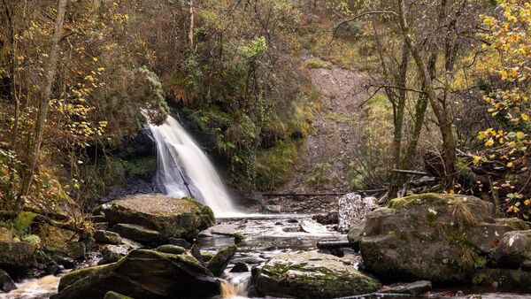 Laois beauty spot among top visited destinations in Ireland