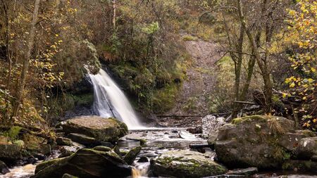 Laois beauty spot among top visited destinations in Ireland