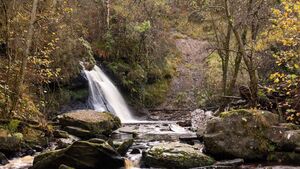 Laois beauty spot among top visited destinations in Ireland Laois beauty spot among top visited destinations in Ireland