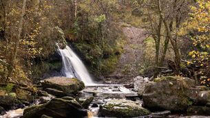 <p>Glenbarrow Forest Park </p>