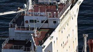 Spectacular Macnas parade fills streets of Dublin Spectacular Macnas parade fills streets of Dublin