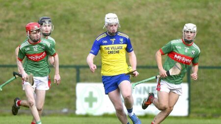 Five of the best have Abbeyleix back in the hunt