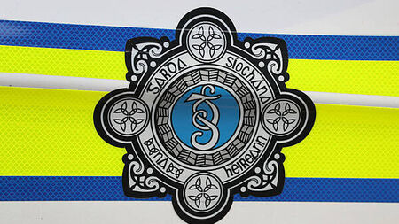 Gardaí remove 52 individuals from the State including seven children