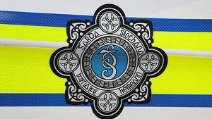 Gardaí remove 52 individuals from the State including seven children
