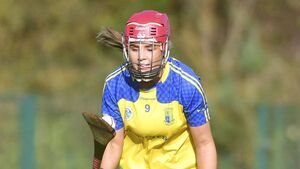Abbeyleix saunter into the Leinster final
