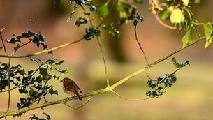 Tributes paid to Waterford cyclist (25) who died in France