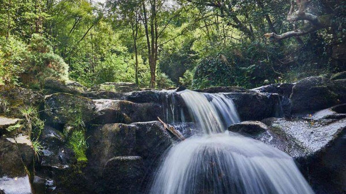Slieve Blooms get over €150k for tourism project