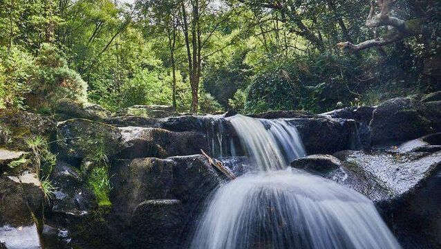 Slieve Blooms get over €150k for tourism project