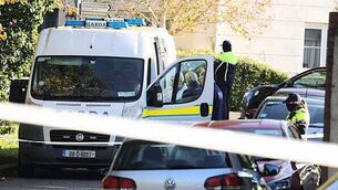 CCTV footage of Noah Donohoe has prompted ‘some responses’, court told