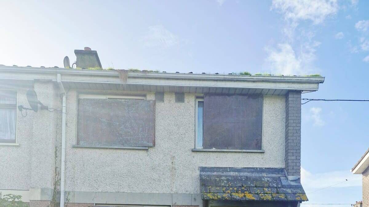 Dog killed following fireworks attack in Athy