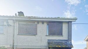 Dog killed following fireworks attack in Athy