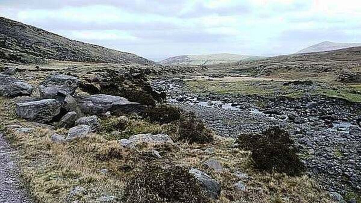 Inland Fisheries Ireland granted leave to challenge District Court over Co Kerry spawn case