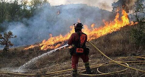 Explained: What you need to know about COP30