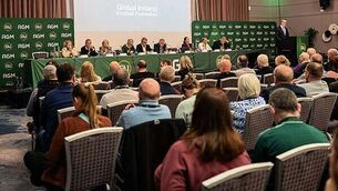 Man, 24, killed in Coleraine crash named