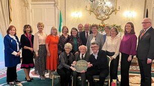 <p>President Higgins hosts Abbeyleix Tidy Towns volunteers at Áras an Uachtaráin </p>