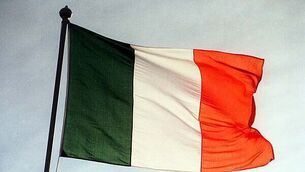 Police investigate after red kite found fatally poisoned in Co Down