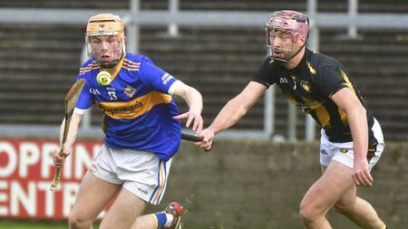 Ballyfin’s dream season ends in Birr