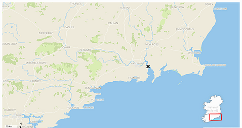 Woman's body (60s) found in Waterford home