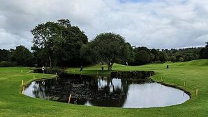 Planning granted for apartments to house asylum seekers that puts Cork golf club in 'serious danger'