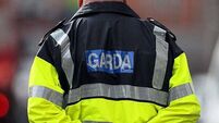 Garda says baton strike on ex-officer was ‘proportionate and justified’ after 140km/h pursuit