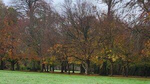 High-five as Laois parks win Green Flags