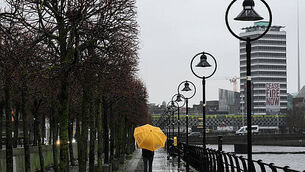 Government should pass ban on Israeli settlements trade before Christmas – Bacik Government should pass ban on Israeli settlements trade before Christmas – Bacik