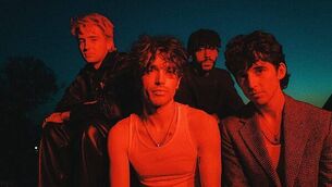 Almost half of dogs involved in reported incident of aggressive behaviour were restricted breeds Almost half of dogs involved in reported incident of aggressive behaviour were restricted breeds