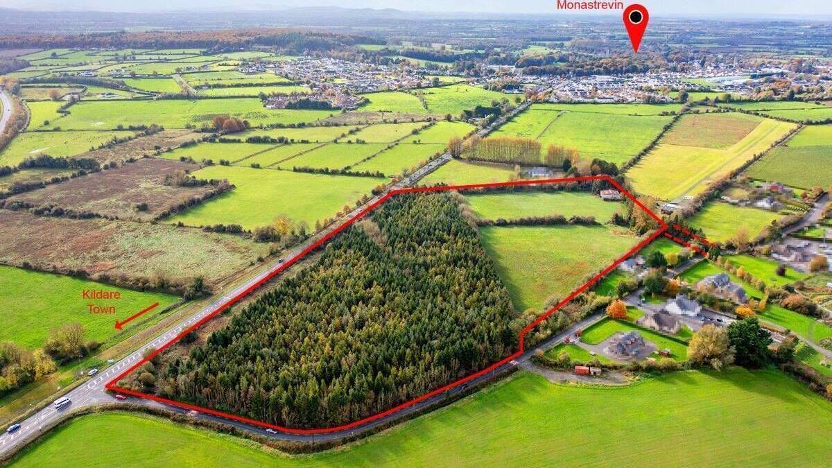 20 acres of land on Laois/ Kildare border on market for €200,000   