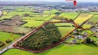 20 acres of land on Laois/ Kildare border on market for €200,000   