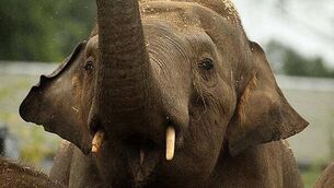 Man armed with knife and metal bar for 'moral support' to co-accused of murdering father-of-two is jailed Man armed with knife and metal bar for 'moral support' to co-accused of murdering father-of-two is jailed