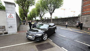 Feather in his cap as Dublin Zoo names parrot after World Cup qualifier hero Feather in his cap as Dublin Zoo names parrot after World Cup qualifier hero