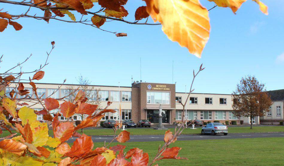 Five Laois schools get climate action grants - News - Laois Nationalist