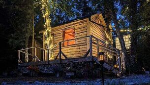 Greens have ‘no regrets’ but Fianna Fáil and Fine Gael ‘did us no favours’ Greens have ‘no regrets’ but Fianna Fáil and Fine Gael ‘did us no favours’