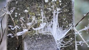 Simon Harris sent lengthy list of questions ahead of interview on The 2 Johnnies podcast Simon Harris sent lengthy list of questions ahead of interview on The 2 Johnnies podcast