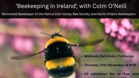 Laois Heritage Society is buzzing with excitement