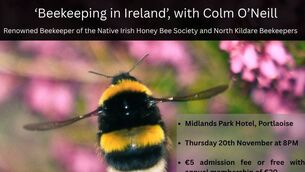 <p>Beekeeper Colm O’Neill of the Native Irish Bee Keeping Society will give the talk </p>