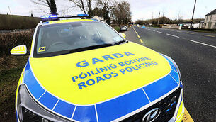 Castletown House lands bought by OPW