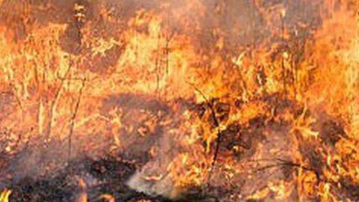Trampoline set on fire in Portlaoise