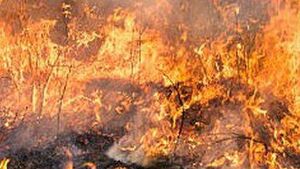 Trampoline set on fire in Portlaoise