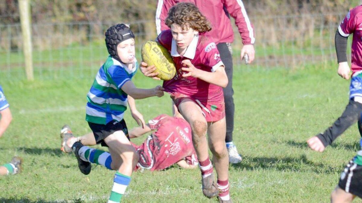 Lea Road was a hive of activity for the Leinster Rugby U/12 Boys Provincial Blitz