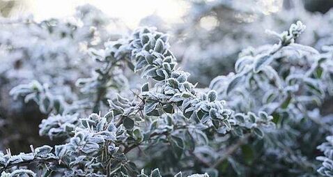 Status yellow low temperature and ice warning issued for 10 counties